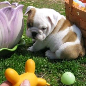 Meet your Posher, Richard